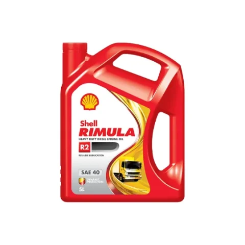 Real shell rimula r2